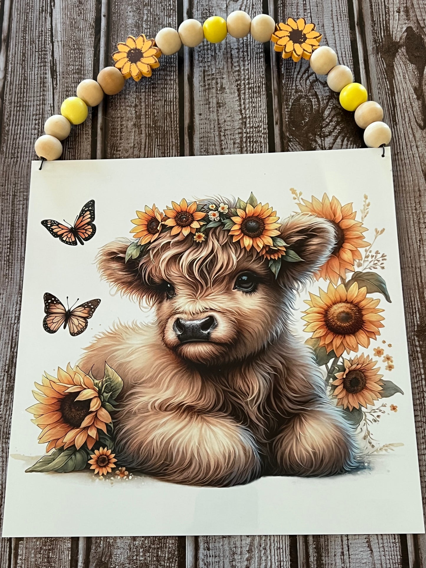 Highland baby and sunflowers