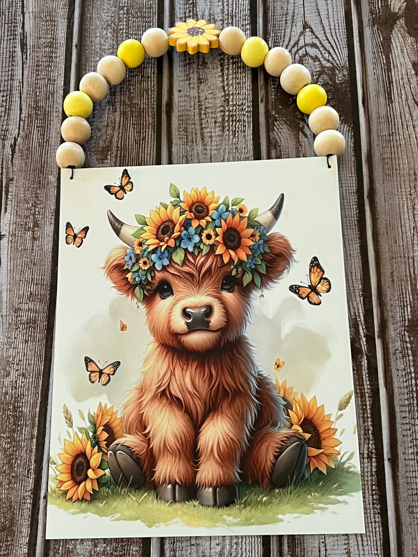 Highland baby cow