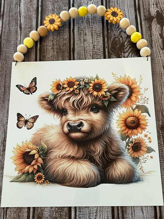 Highland baby and sunflowers